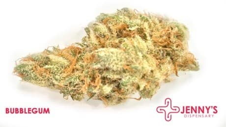 Bubble Gum cannabis strain, community photo 4
