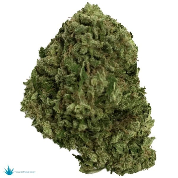 Bubbleberry cannabis strain, community photo 1
