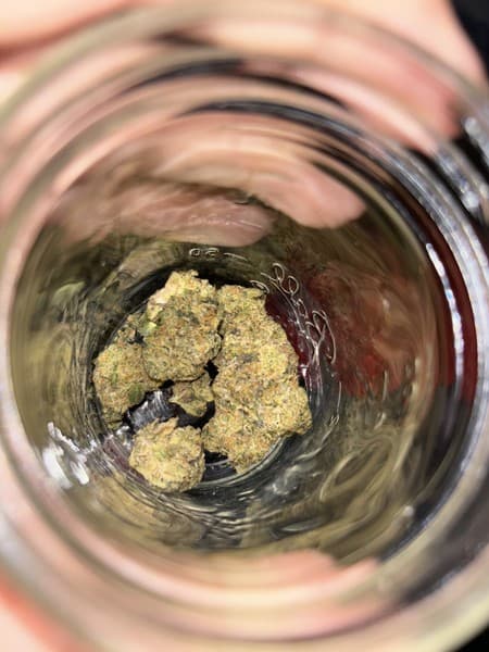 Burnt Toast cannabis strain, community photo 1