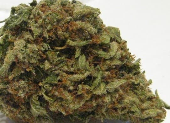 Butter OG cannabis strain, community photo 1