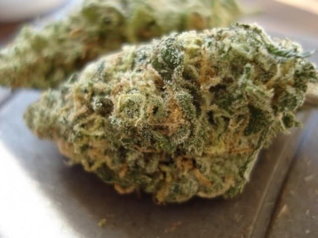 Butter OG cannabis strain, community photo 3