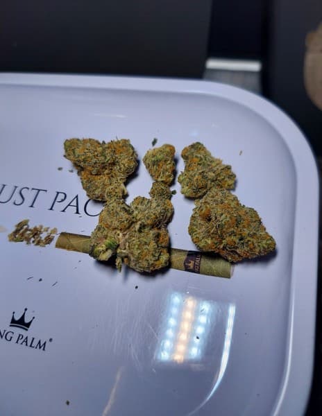Butter OG cannabis strain, community photo 5