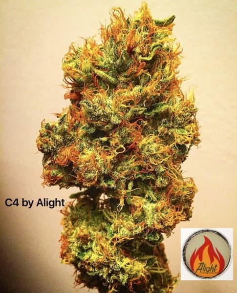 C4 cannabis strain, community photo 1