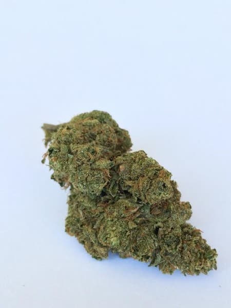 C4 cannabis strain, community photo 2