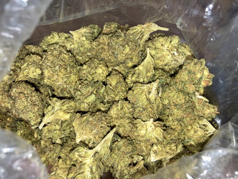 Cake Mix cannabis strain, community photo 3
