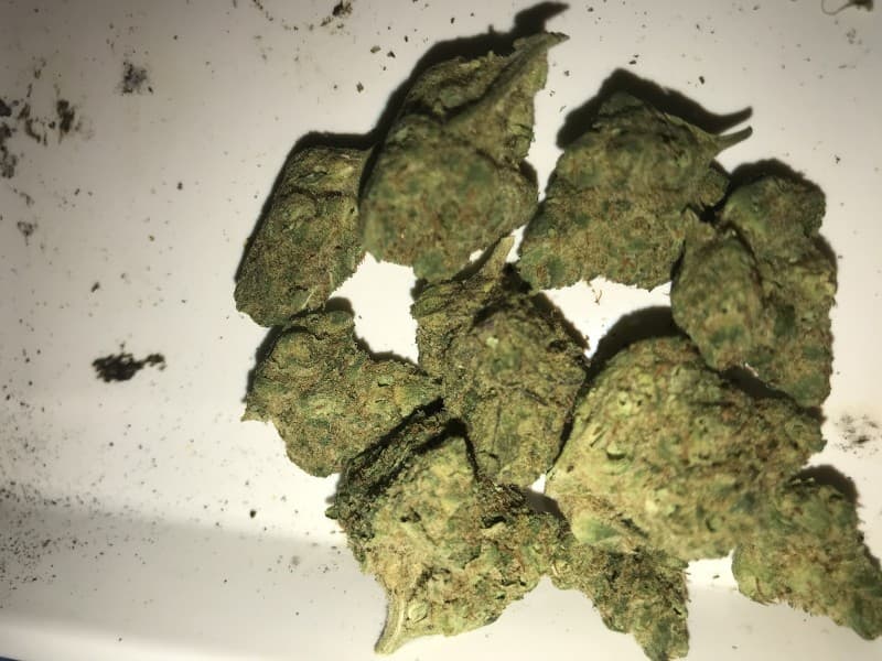 Cake Mix cannabis strain, community photo 4