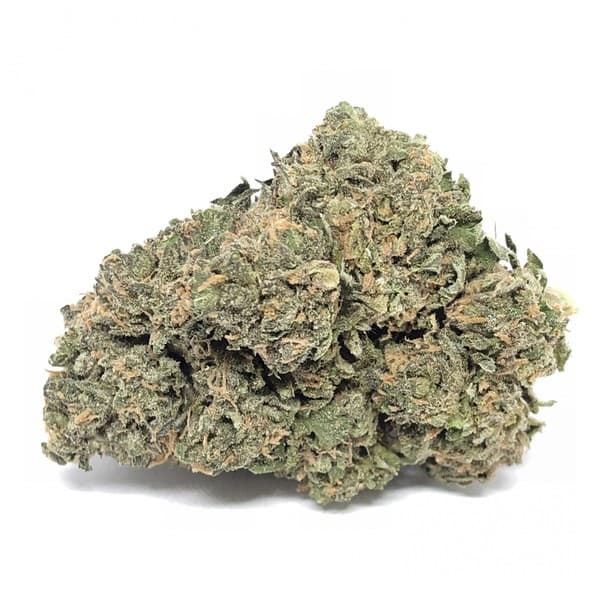 Cali Gold cannabis strain, community photo 1