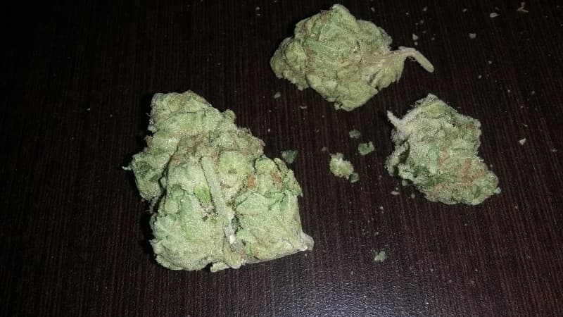 Cali Kush cannabis strain, community photo 2