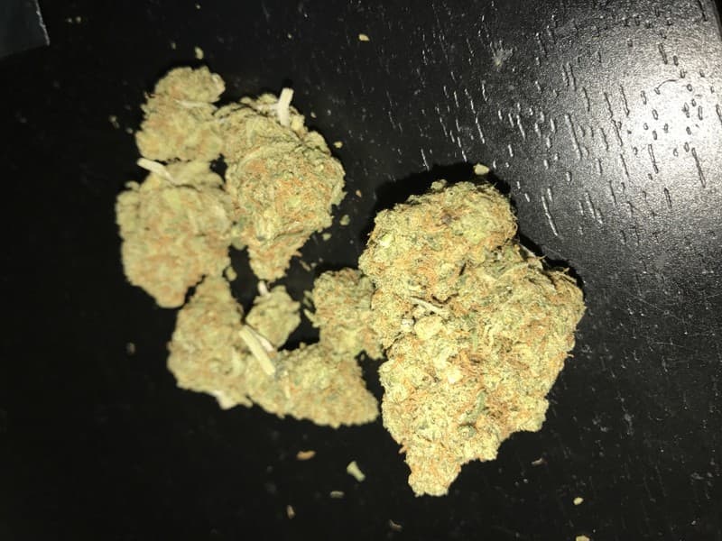 Candy Jack cannabis strain, community photo 2