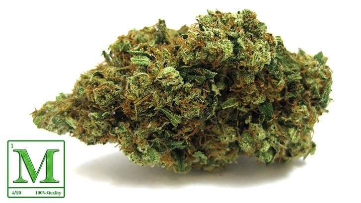 Candy Jack cannabis strain, community photo 3