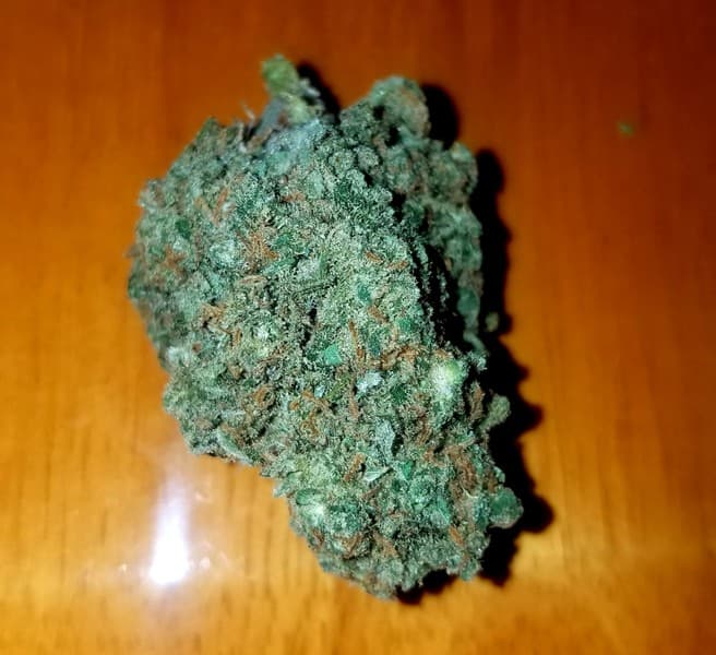 Candy Jack cannabis strain, community photo 5