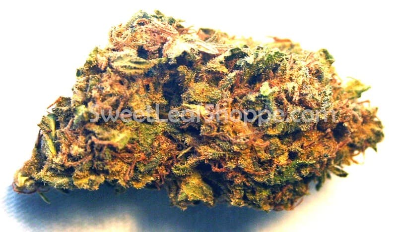 Candy Kush cannabis strain, community photo 2