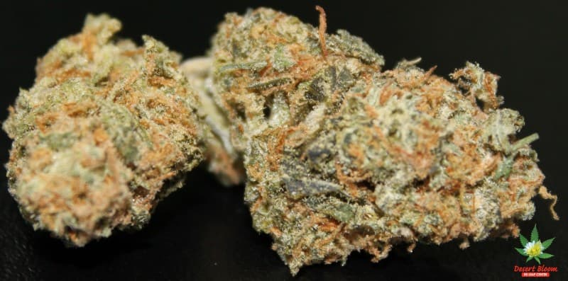 Candy Kush cannabis strain, community photo 6