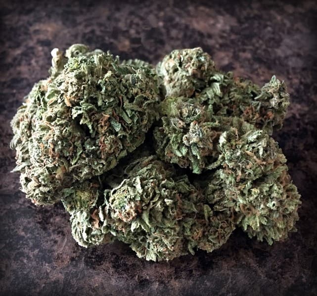 Candyland cannabis strain, community photo 1
