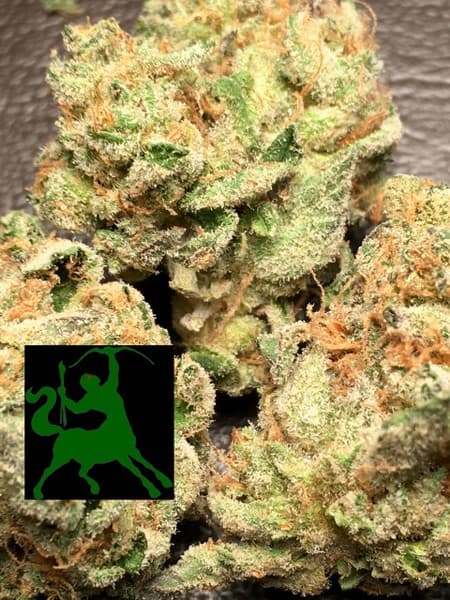 Candyland cannabis strain, community photo 2