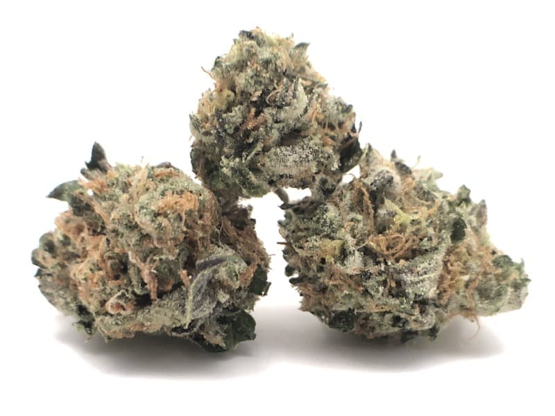 Candyland cannabis strain, community photo 4