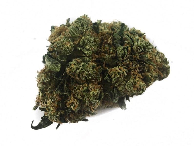 Candyland cannabis strain, community photo 6