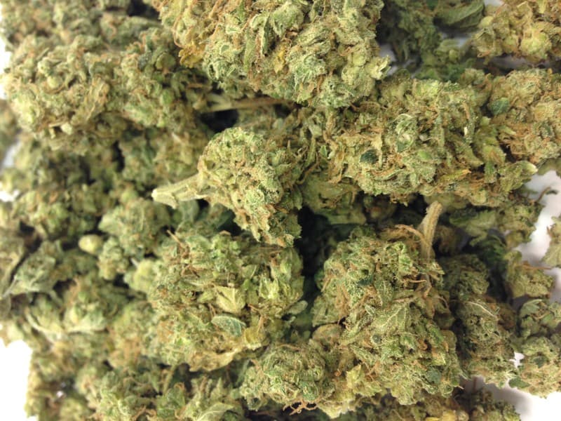 Candyland cannabis strain, community photo 7