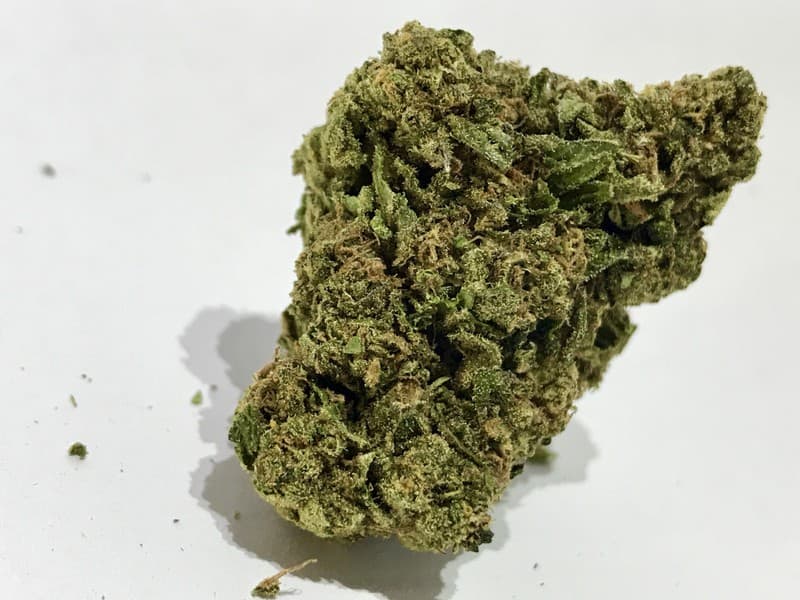 Candyland cannabis strain, community photo 8