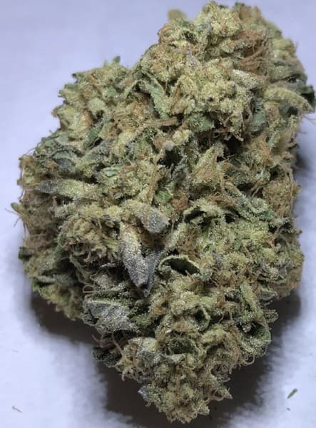 Candyland cannabis strain, community photo 9