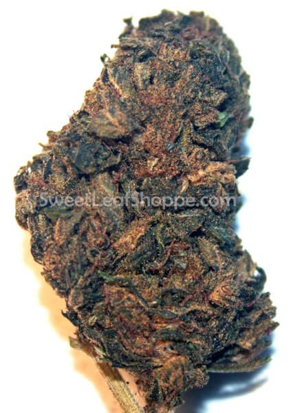 Cannatonic cannabis strain, community photo 1