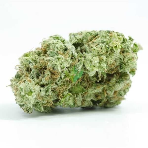Cannatonic cannabis strain, community photo 4