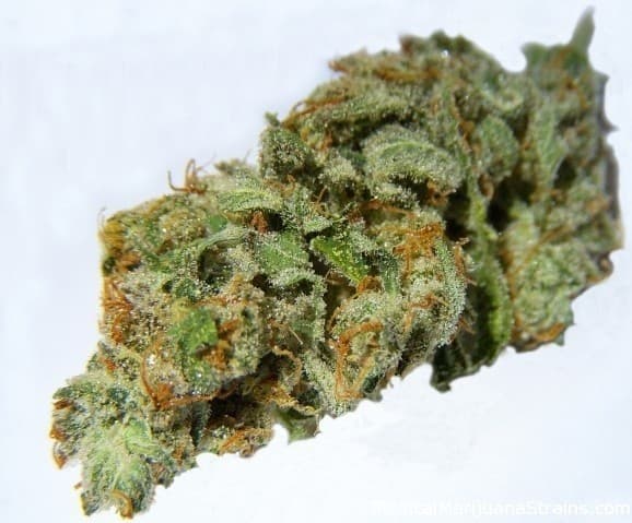 Casey Jones cannabis strain, community photo 1
