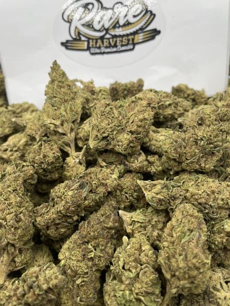 Casey Jones cannabis strain, community photo 2