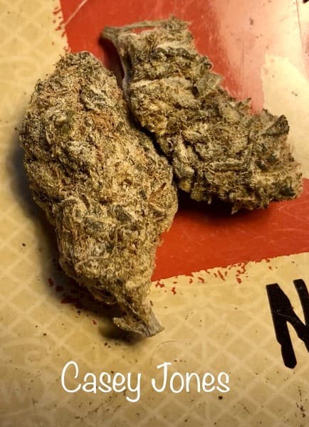 Casey Jones cannabis strain, community photo 4