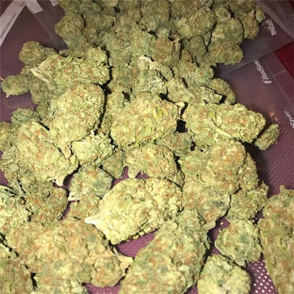 Casey Jones cannabis strain, community photo 5