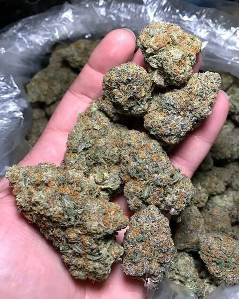 Casey Jones cannabis strain, community photo 6