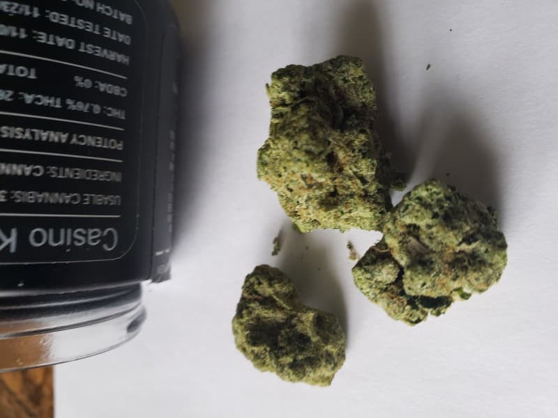 Casino Kush cannabis strain, community photo 1
