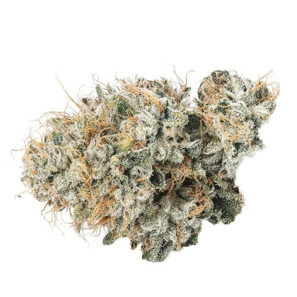 Casino Kush cannabis strain, community photo 2