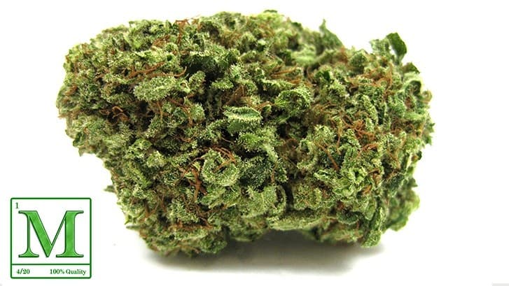 Cheese cannabis strain, community photo 1