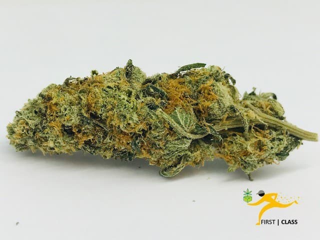 Cheese cannabis strain, community photo 2