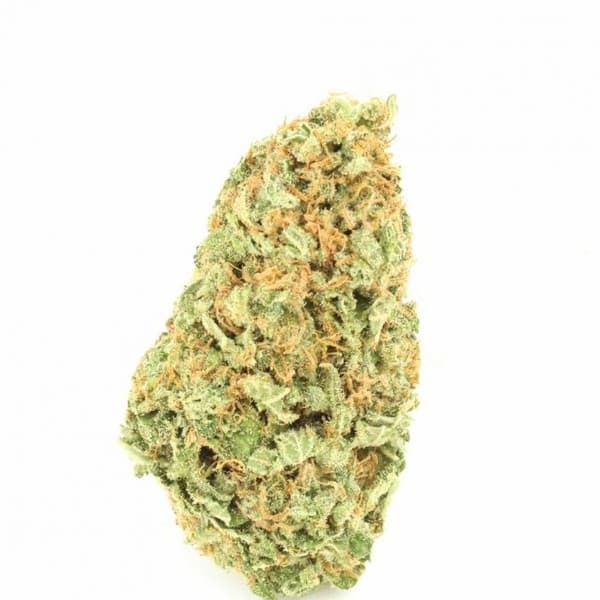 Cheese cannabis strain, community photo 4