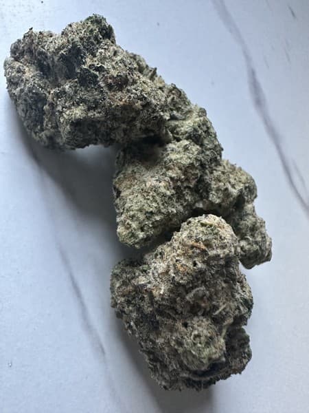 Cheesecake cannabis strain, community photo 1