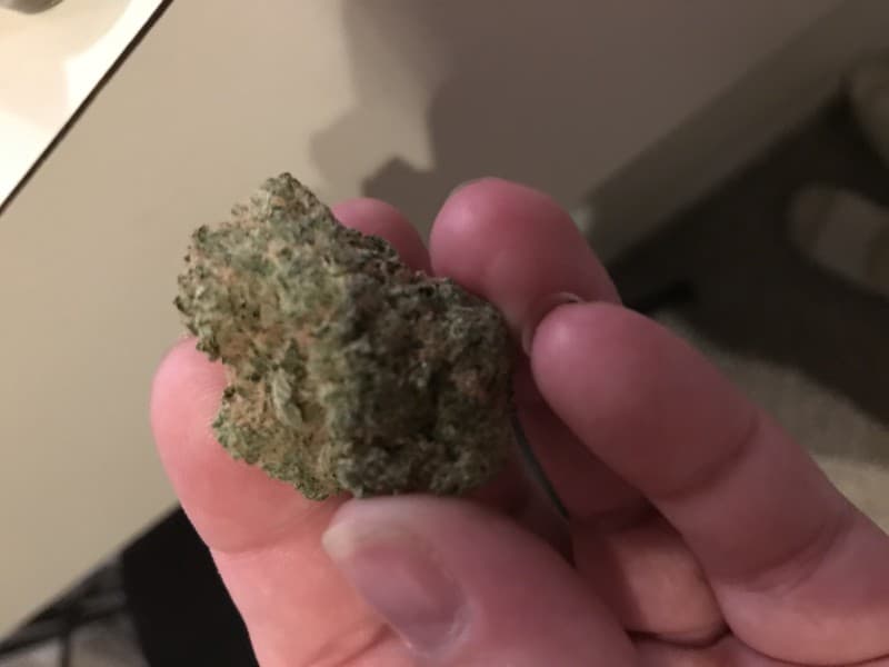 Cheesecake cannabis strain, community photo 2