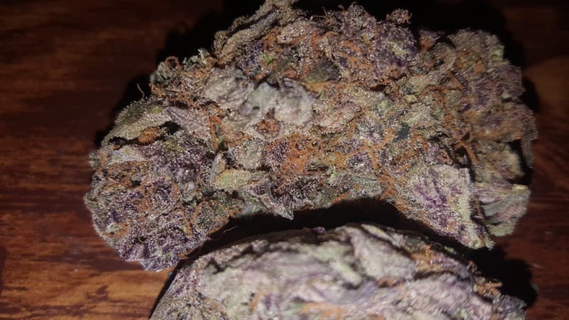 Cheesequake cannabis strain, community photo 2