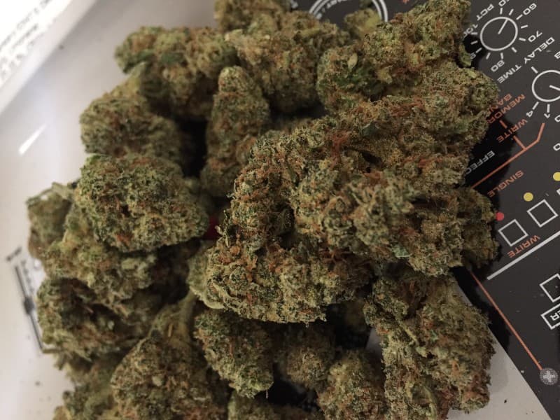 Chem 91 cannabis strain, community photo 1