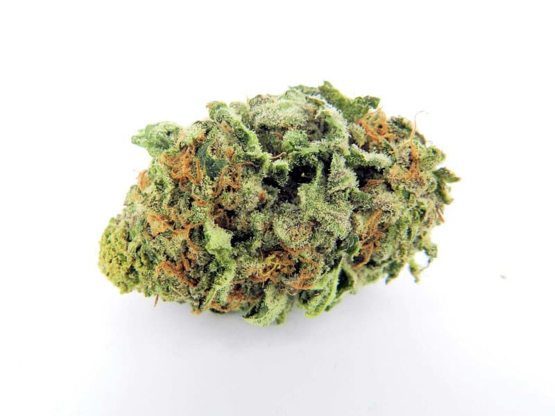Chem 91 cannabis strain, community photo 2