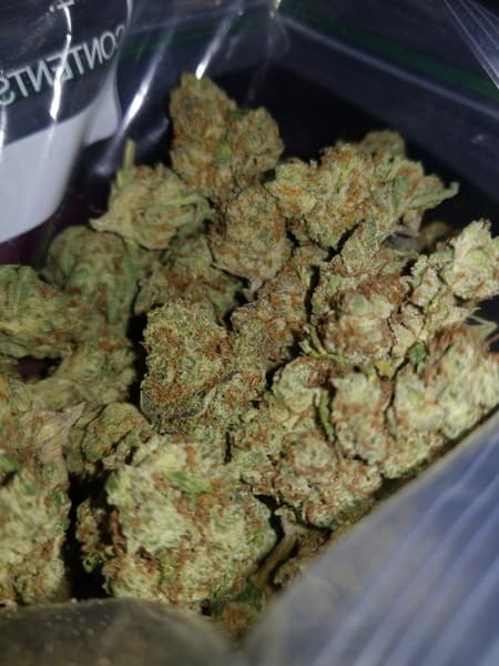 Chem 91 cannabis strain, community photo 4