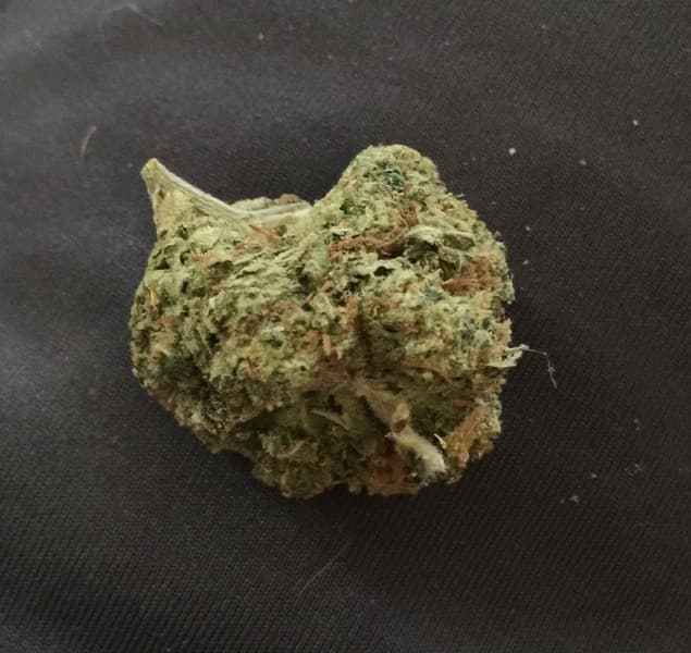 Chem 91 cannabis strain, community photo 5