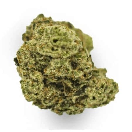 Chem Dawg cannabis strain, community photo 1