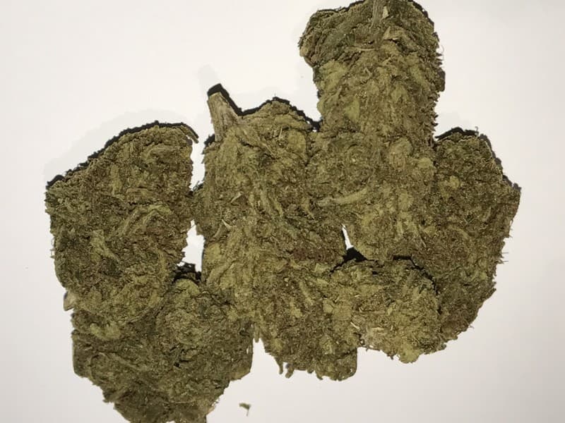 Chem Dawg cannabis strain, community photo 2