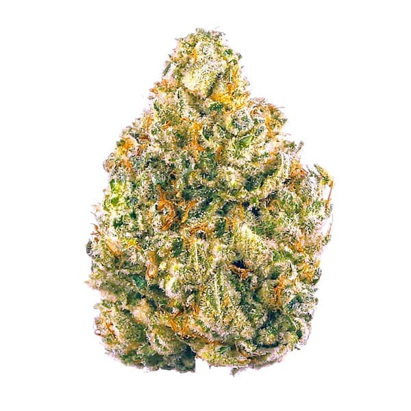 Chem Dawg cannabis strain, community photo 4