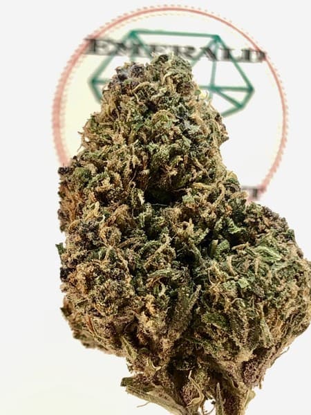 Chemdawg 4 cannabis strain, community photo 1