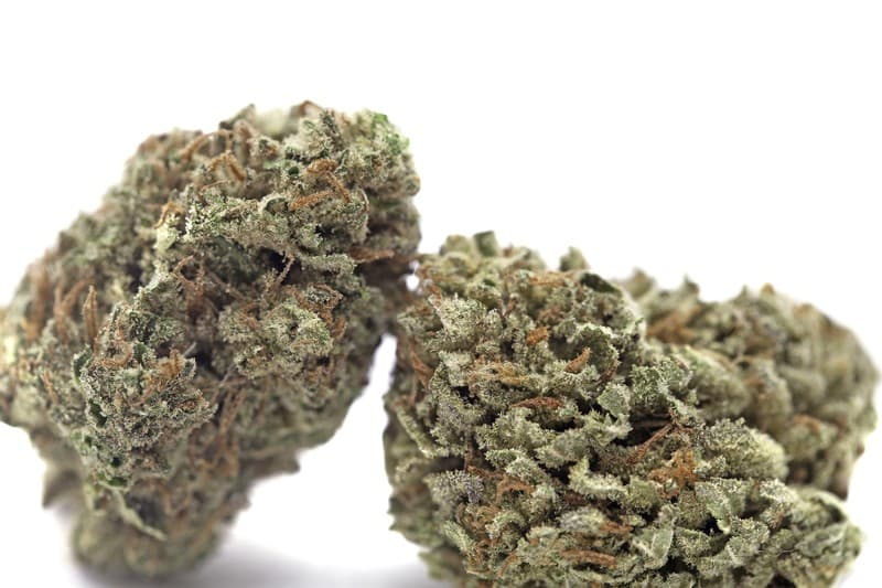 Chemdawg 4 cannabis strain, community photo 3