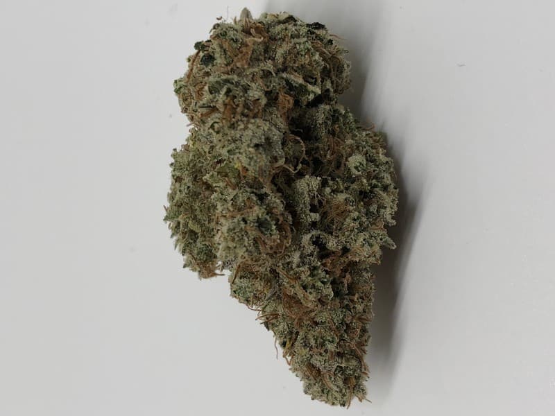 Chemdawg 4 cannabis strain, community photo 4
