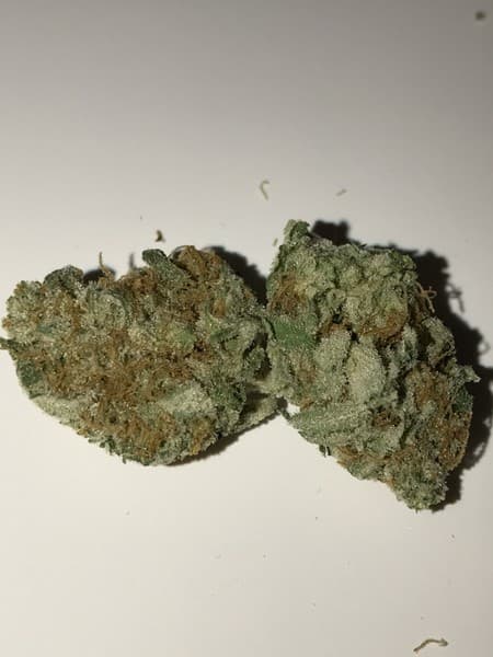 Chernobyl cannabis strain, community photo 8